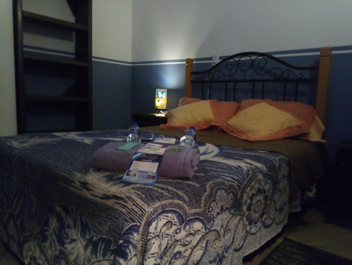 Zocalo Rooms Мехико Экстерьер фото